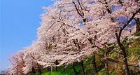 Things to do in Japan | Travel Japan（Japan National Tourism Organization）
