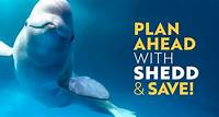 Plan ahead with Shedd | Shedd Aquarium