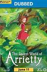 Secret World of Arrietty, The DUB poster image
