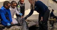 Animal Encounters - New England Aquarium