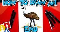 How To Draw An Emu