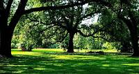 7. New Orleans City Park One of the largest urban parks in the country, City Park has golf, tennis and horseback riding.