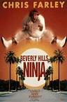 Beverly Hills Ninja (Nindža sa Beverli Hilsa) 1997