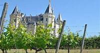 Weintour durch das Loiretal in Chinon und Bourgueil