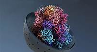Wie unsere DNA Knoten vermeidet