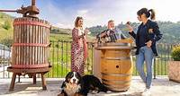 Valpolicella-Weintour: Erkunden Sie 3 Weingüter, Mittagessen und Amarone-Fokus