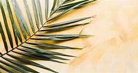 Palm Sunday: Hosanna or Crucify Him? - Sermons & Articles