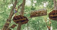 Zipline Chicago - Go Ape Zipline and Treetop Adventure