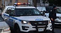 Bronx dog attack leaves man fatally mauled, cops shoot canine Bronx dog attack leaves man fatally mauled, cops shoot canine