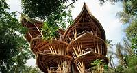 Magical houses, made of bamboo