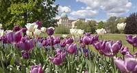 Potsdam im Frühling