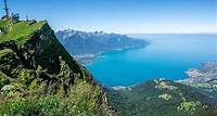 Montreux nach Rochers-de-Naye: Alpine Adventure Ticket Naturparks