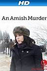 An Amish Murder (Zavet ćutanja) 2013