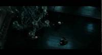 Harry Potter and the Deathly Hallows part 1 - Bellatrix's reign of terror at Malfoy Manor (part 2) (9 KB)