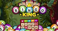 Bingo Games Online - Play Now for Free |