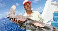Europaweiter Vorreiter Hai-Produkte sind bei uns in Zukunft verboten