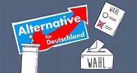 logo!: Was ist die Alternative für Deutschland (AfD)?