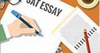 15 Strategies to Improve Your SAT Essay