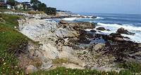 Hotels near Monterey Peninsula Recreational Trail