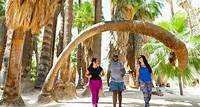 Palm Springs Hiking Guide