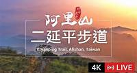 二延平步道即時影像 - 阿里山 - 即時影像監視器：台灣路況即時影像、旅遊景點天氣觀測