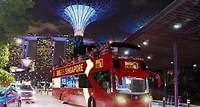 Big Bus Singapore Night Tour with Gardens by the Bay Light Show
