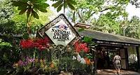 Singapore: National Orchid Garden Admission Ticket