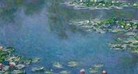 Water Lilies | The Art Institute of Chicago
