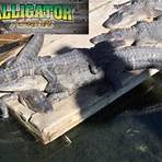 Alligator Adventure Live Shows Alligator Adventure, watch in awe as 15ft alligators leap out of the water and slam their powerful jaws down on […]