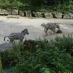 4. Lille Zoo