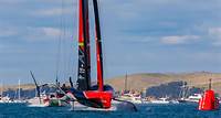 Spectator boats at large sailing events could be impacting marine wildlife with noise pollution