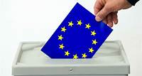 Elezioni europee, scende in campo Maria Grazia Di Scala