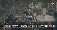 Suspected algal bloom spotted on Duck Lake