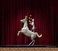 dog and pony perform tricks on stage in a funny stock photo about ...