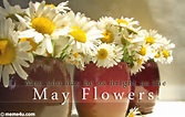 May Flowers Related Keywords & Suggestions - May Flowers Long Tail ...