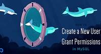 How To Create a New User and Grant Permissions in MySQL | DigitalOcean