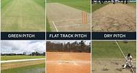 All you need to know about types of pitches in cricket. - CricHeroes