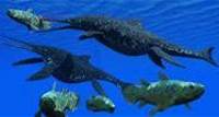 World’s largest marine reptile