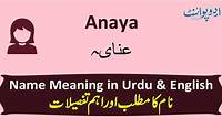Anaya Name Meaning in Urdu - عنایہ - Anaya Muslim Girl Name