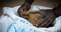 Do business with WFP | World Food Programme