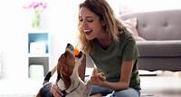 Creative Activities to Bond with Your New Dog