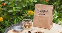 How to Harvest and Save Zinnia Seeds