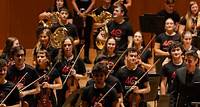 Registration for auditions of the UV’s Philharmonic Orchestra 2024-2025