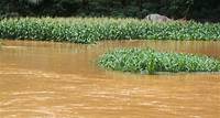 广西德保暴雨致边坡塌方 农田被淹