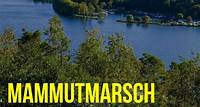 Mammutmarsch NRW – 100 KM
