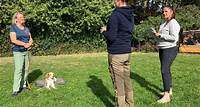 Berufs-Check Hundetrainer:in 13. Oktober 2023 Freiwillige Praktika in Hundeschulen zur Orientierung