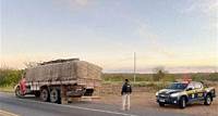 Caminhão com 15 toneladas de gesso irregular é apreendido pela PRF em Salgueiro (PE)