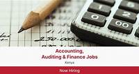 Accounting, Auditing & Finance Jobs