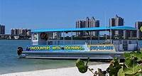 Clearwater Begegnungen mit Dolphins Tour