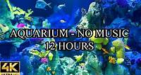AQUARIUM 4K Coral Reef 4K Aquarium No Music No Ads - 12 Hours | Meditation | Relaxation | Sleeping
